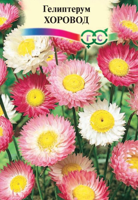 Хръгъл танц