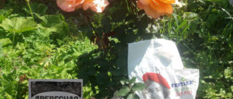 Тор за рози