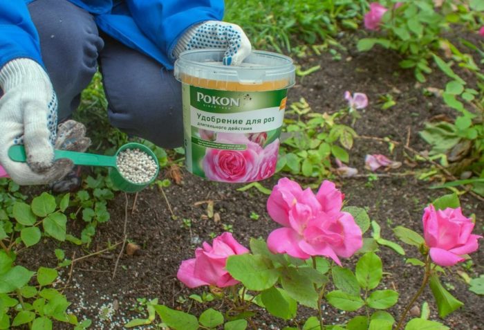 Тор за рози