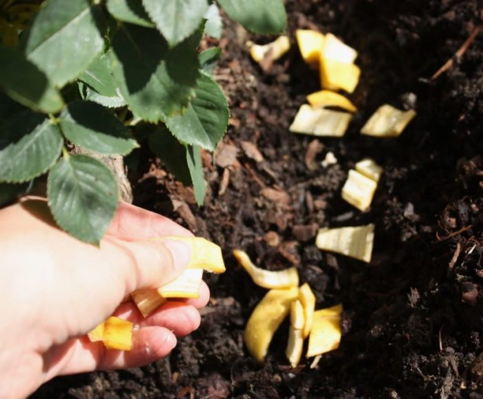 Банан за рози