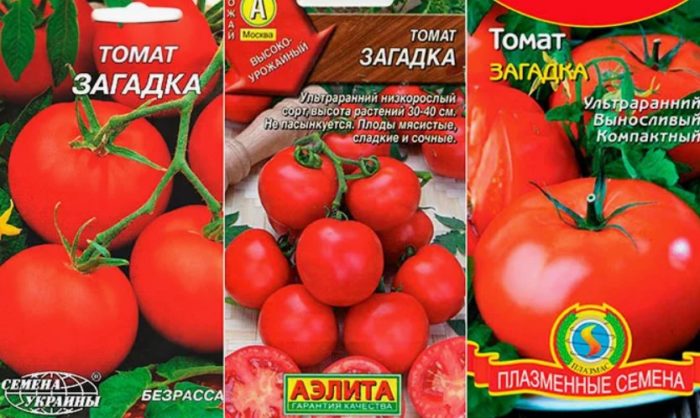 Сорт домати "Загадка" Доматена загадка