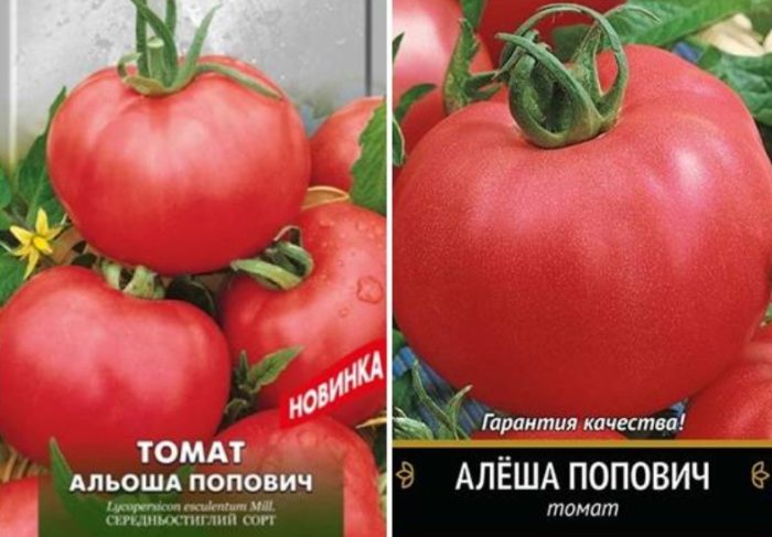 Альоша Попович