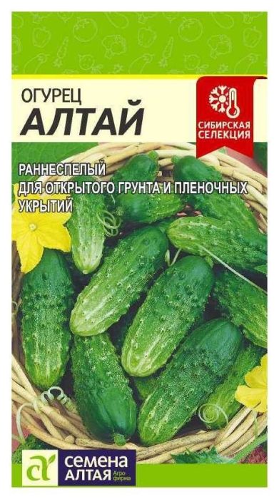 Алтай