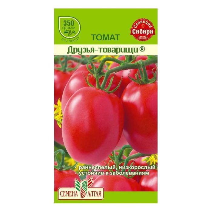 Приятели-другари