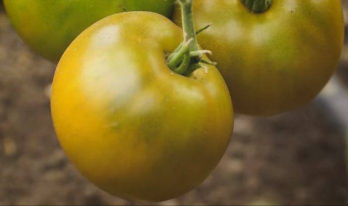 Изумруден стандарт