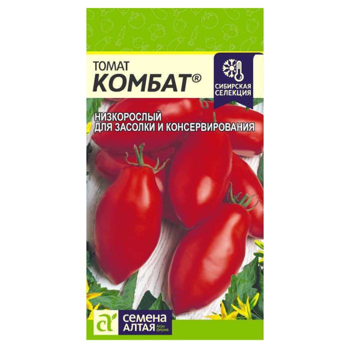 Командир на батальон