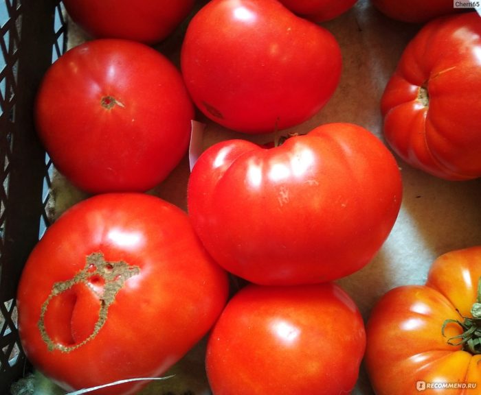 Разнообразие с вкус на мед