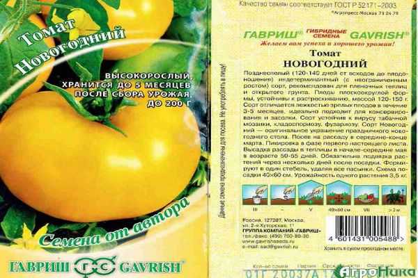 Нова година