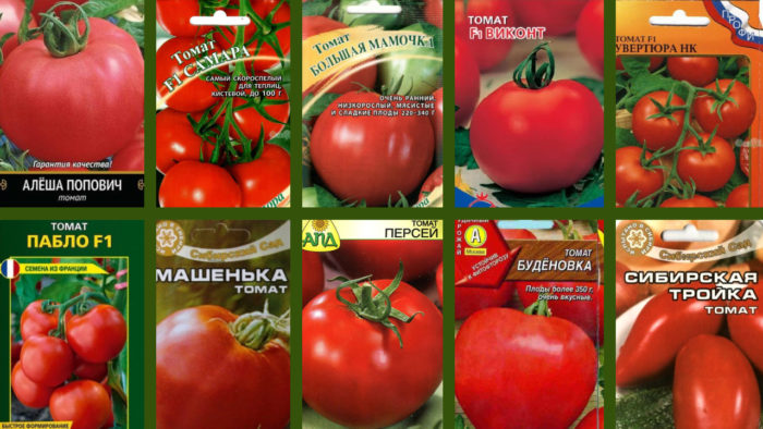 Сортове домати за Московска област