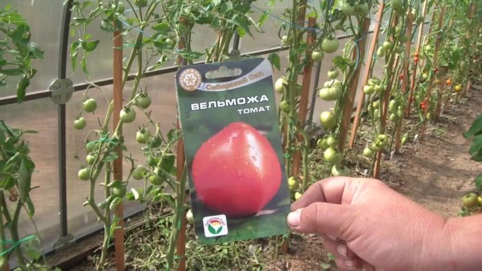 Сорт Велможа