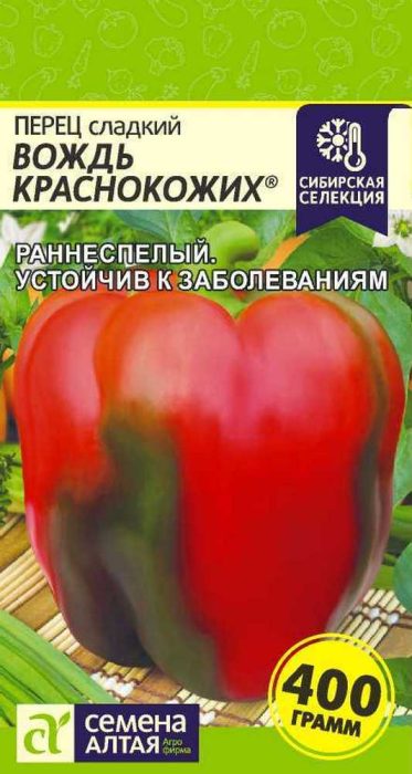 Вождът на червенокожите