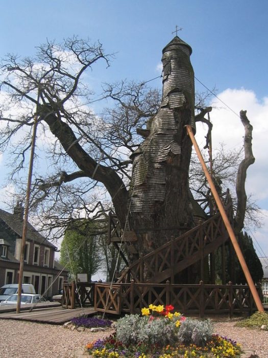 Дъбова капела