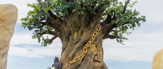 Дъб в Лукоморие