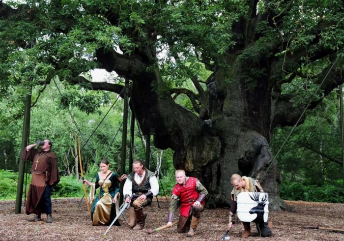 Шерууд Форест Дъб